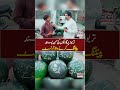 Watermelon Par Different Art Banane Wala Naujawan Social Media Par Viral