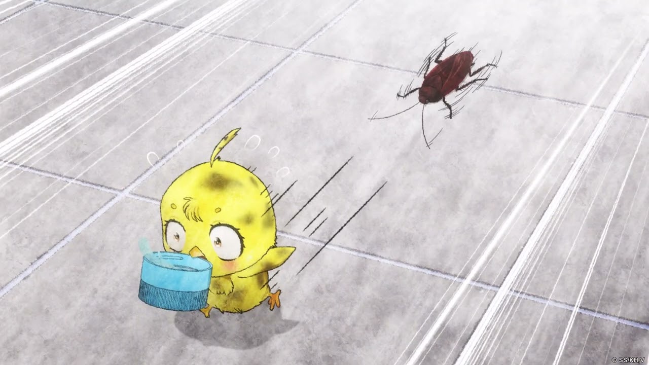 Episodio 2 | Rooster Fighter | VIZ