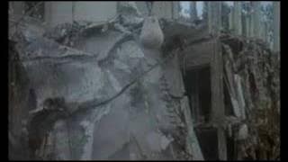 Le Chat (1971)