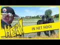 HEA! In het hooi