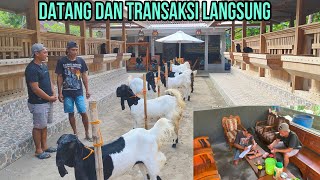 TANPA PENAWARAN... 20JT LANGSUNG DI BAWA PULANG