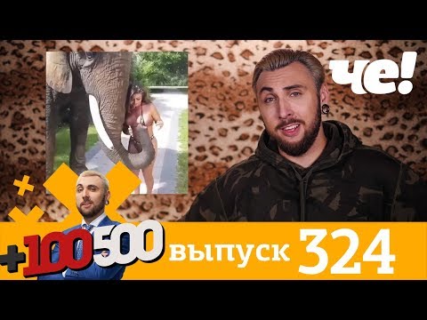 +100500 | Выпуск 324