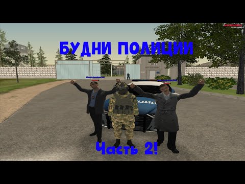 Видео: БУДНИ ПОЛИЦИИ НА МАЛИНОВКА 03!!!