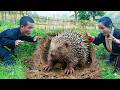 Dwarf Family Builds Chicken Coop and Captures Giant Hedgehog in the Wild