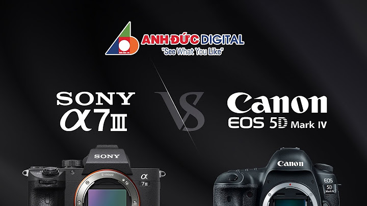 So sánh canon 5d mark iv vs sony a7iii năm 2024