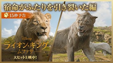 15秒予告🐾宿命がふたりを引き裂いた編｜「ライオン・キング：ムファサ」大ヒット上映中🐾🐾