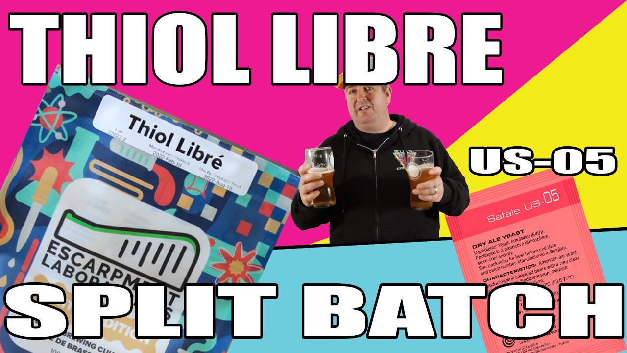 Thiol Libre Vs US 05 Split Batch BIAB Grain To Glass Cascade Pale Ale thiol-libre-vs-us-05-split-batch-biab-grain-to-glass-cascade-pale-ale