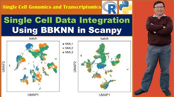 Single Cell Data Integration: Integrating Datasets Using BBKNN in Scanpy and Python