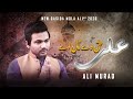 Ali haq de naal ae  ali murad  new qasida 2020  qasida mola ali as