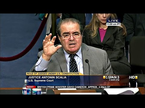 Video: Valor neto de Vito Scalia: Wiki, casado, familia, boda, salario, hermanos