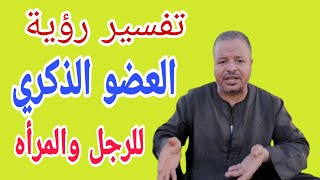 تفسير رؤية حلم العضو الذكري في المنام للرجل والمرأه