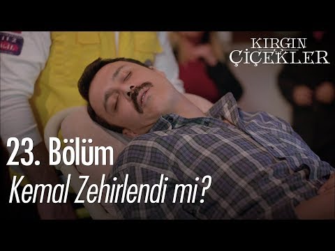 Kemal zehirlendi mi? - Kırgın Çiçekler 23. Bölüm