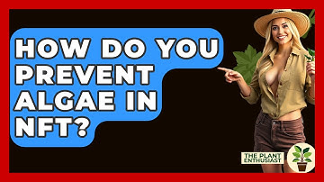 How Do You Prevent Algae In NFT? - The Plant Enthusiast
