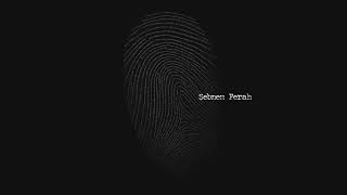 Video thumbnail of "Şebnem Ferah - Vicdan (Parmak İzi) (Official Audio)"