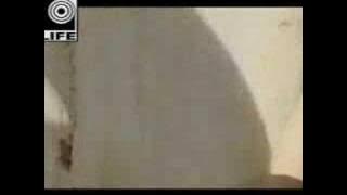 Download lagu UG14 - Bunga Larangan