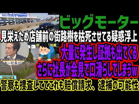 【ビッグモーター】見栄えのため店舗前の街路樹を枯れさせてる疑惑浮上!!大量に発生してるのバレて証拠も出てくる!!さらに社長が会見で口滑らせたりしててヤバすぎると話題にw