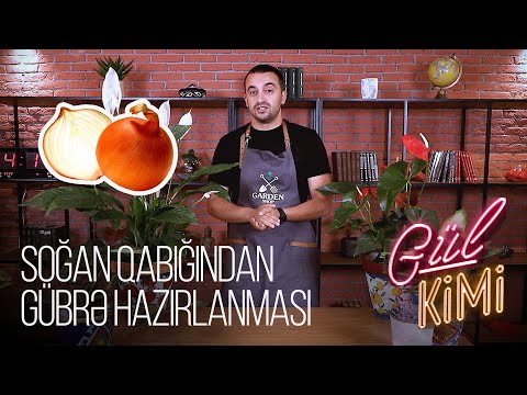 Video: Plumeria üçün gübrə tələbləri: Plumeria bitkilərinin gübrələşdirilməsinə dair məsləhətlər