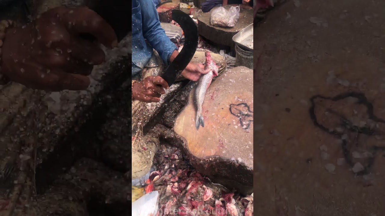 Lizard Fish cutting skills. 