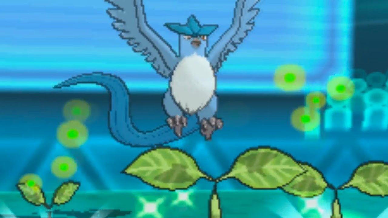 Haydunn vs. Macho | PU Pokemon ORAS Wifi Battle