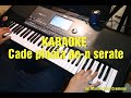 Cade ploaia pe-nserate (Re'M) - KARAOKE