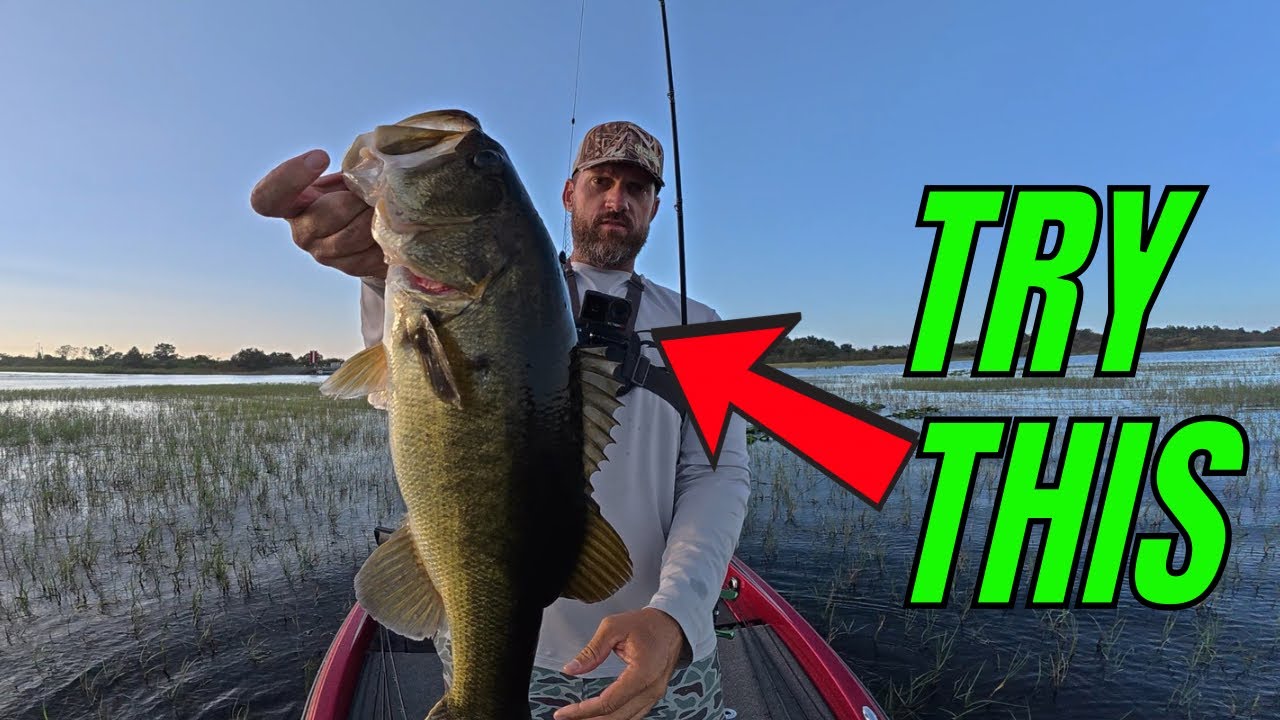 Ловля окуня на озере Тохо в октябре (день 1) | Speed ​​Worm