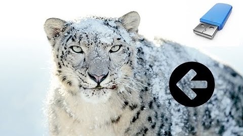 Snow Leopard From USB