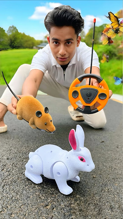 One Rc Mouse🐁And Remote Control Rabbit Unboxing😍