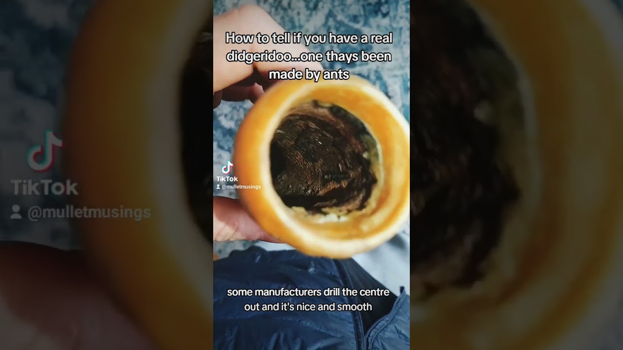 How are didgeridoos made