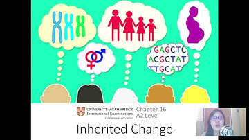Chap 16 (Part 1) Meiosis | Cambridge A-Level 9700 Biology