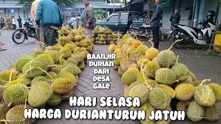 HARI SELASA BANJIR DURIAN RAMBUTAN DAN SARIKAYA || harga durian turun di pasar buah pasrepan
