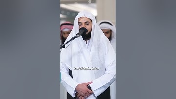 Raad Al kurdi Whatsapp status/ رعد الكردي حالات واتس اب/ سورة البقرة رعد الكردي