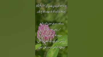 تلاوت زیبای قران. ایه ۱۹۳ سوره ال عمران