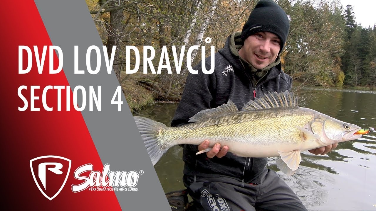 DVD Lov dravců Section 4 - Lov štik a candátů ze břehu