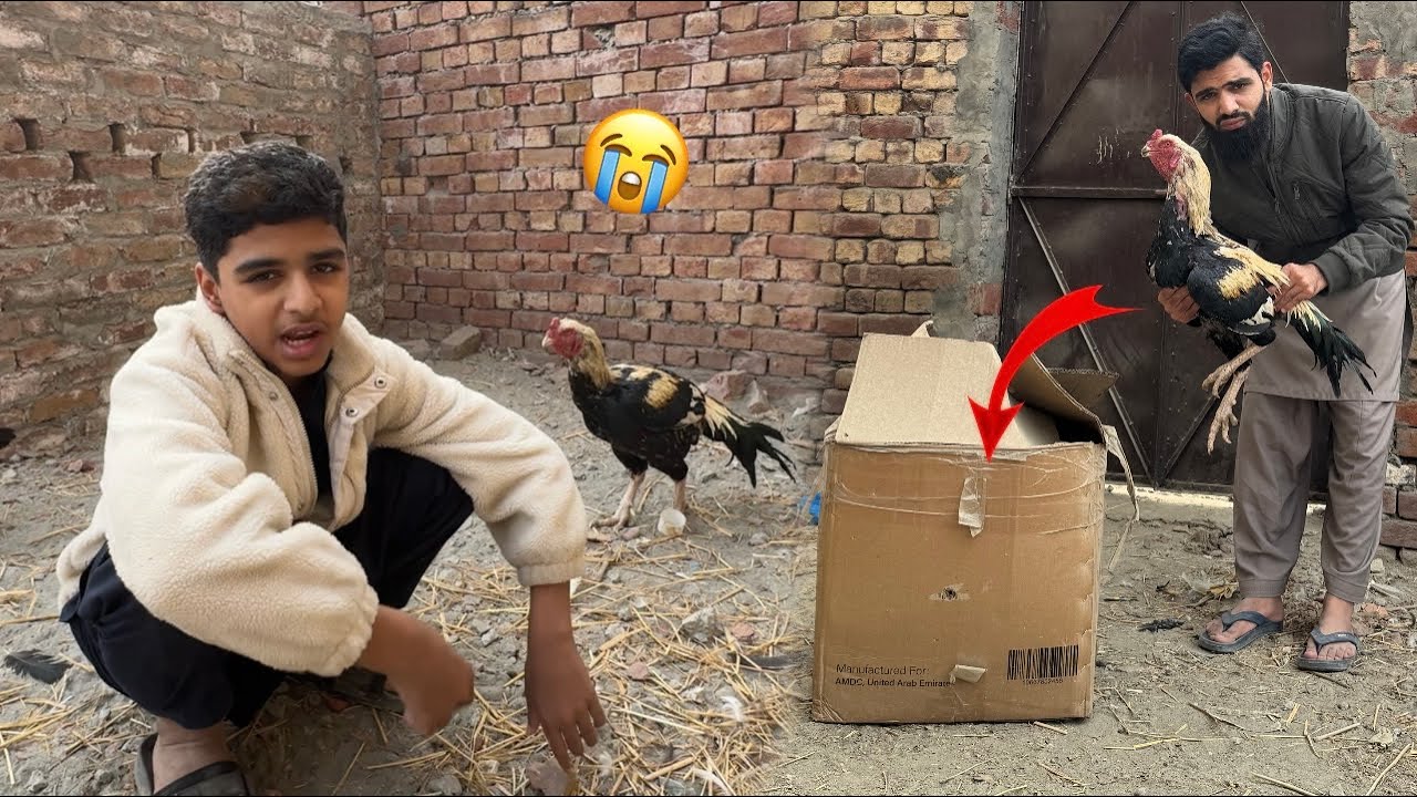 Shaka Last day on setup 🥹 