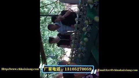 pear grading machine/weight sorting machine/fruit grader