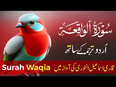 Surah Waqiah With Urdu Translation By Qari Ismail Annori | Urdu And Hindi Tarjuma 