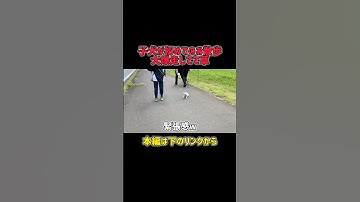歩かない子犬、まさかの展開w #犬のいる暮らし  #日常 #ペット動画 #犬バズ動画  #かわいい瞬間  #犬のリアクション  #感動  #思わず笑う動画  #犬との暮らしVlog #爆笑ペット動画