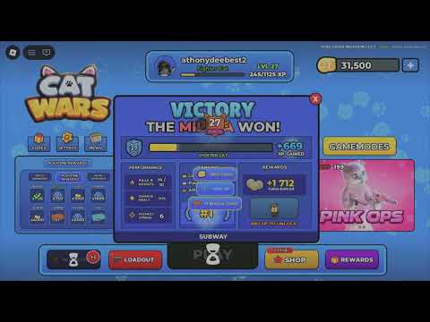 Playing Cat Wars!
