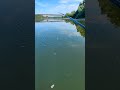 Рыбалка: как быстрее вытаскивать рыбу 🎣