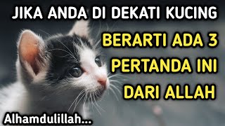 Inilah 3 Pertanda Dari Allah, Jika Anda Didekati Kucing | Bersyukurlah...