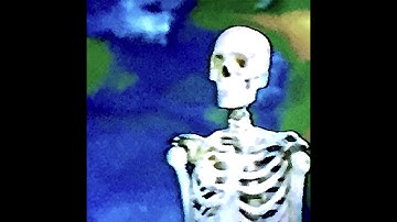 Bones - SystemPreferences Lyrics