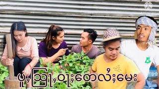 ၸိူင်းပွတ်း/ပူႇသြႃႇဝႃႈ​​တေလႆႈ​​မေး