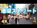 【珊瑚ストリート】御徒町駅の高架下商店街と宝石商街が融合！春日通りから2k540まで続く通りを闊歩