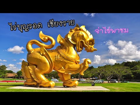 สิงห์ปาร์ค เชียงราย หรือ ที่หลายคนรู้จักในนาม "ไร่บุญรอด" Iจ่าไข่พาเที่ยวพาชม