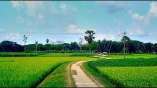 Best of natural and beautiful village weather In Bangladesh screenshot 3