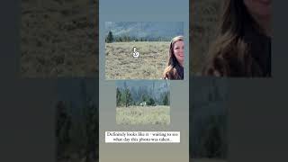 Celebrity Travel bloggers say they spotted #GabbyPetito's white van two days after last contact #brianlaundrie Profile