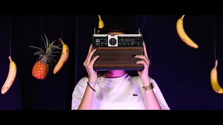 Landro - Holunderbletesir...  (Official Video)
