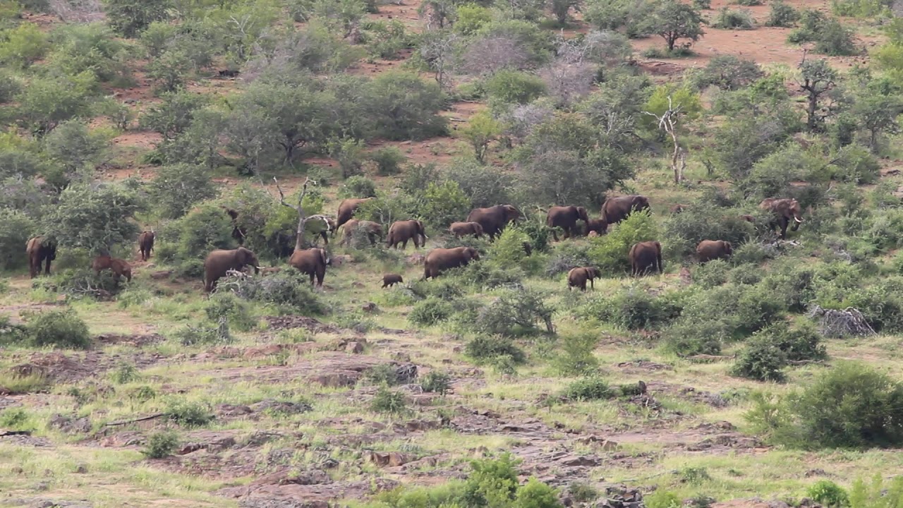 Olifants Restcamp, view from the restaurant deck, Februari 2019