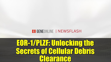 EOR-1/PLZF: Unlocking the Secrets of Cellular Debris Clearance | WAH-1/AIF Pathway Explained