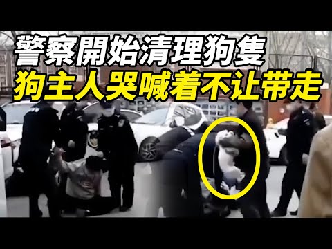 出门遛狗 小狗被中共警察“执法”